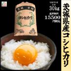 令和５年産 茨城県産 コシヒカリ 玄米30kgうまい米 米専門 みのりや ポイント消化 送料無料