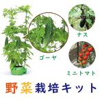 子どもも簡単にできる！家庭菜園水耕...