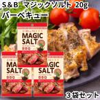 エスビー マジックソルト ミニ バーベキュー BBQ 20g 3袋セット 詰め替え 小分け ミニパウチ ファスナー付き ソルト 塩 しお