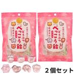 野州たかむら どうぶつべっこう飴 さくら 65g 2袋セット 個包装 キャンディ アメ 桜 べっこう飴 国産 無添加 動物 アニマル かわいい あめ