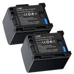 【２個セット】minshi CANON iVIS HFM43 対