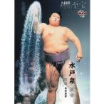 15BBM 大相撲カード LEGEND 至宝 #29 水戸泉 眞幸