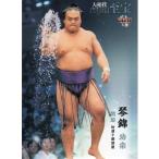 15BBM 大相撲カード LEGEND 至宝 #35 琴錦 功宗