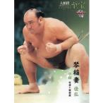 15BBM 大相撲カード LEGEND 至宝 #54 琴稲妻 佳弘