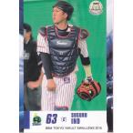 15BBM ヤクルトスワローズ S44 