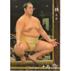 16BBM大相撲カード #45 輝