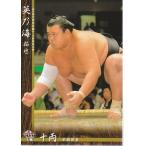 16BBM大相撲カード #47 英乃海