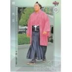 16BBM大相撲カード #74 期待の若手 輝