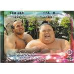 ショッピング大相撲 16BBM大相撲カード #79 オフショット 千代丸 & 大砂嵐