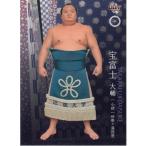 16BBM大相撲カード 彩 レギュラー #11 小結 宝富士