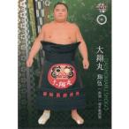 16BBM大相撲カード 彩 レギュラー #38 前頭 大翔丸