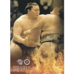 16BBM大相撲カード 彩 闘う男たち #56 白鵬