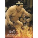 ショッピング大相撲 16BBM大相撲カード 彩 闘う男たち #60 豪栄道