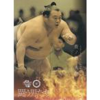 16BBM大相撲カード 彩 闘う男たち #63 豊ノ島