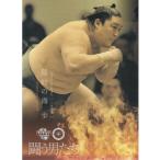16BBM大相撲カード 彩 闘う男たち #67 隠岐の海