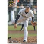 17カルビープロ野球チップス第2弾 ドラ