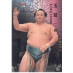 17BBM大相撲カード #11 玉鷲
