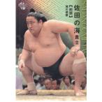 17BBM大相撲カード #26 佐田の海