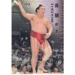 17BBM大相撲カード #64 青狼