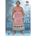 17BBM大相撲カード 魂 #19 荒鷲毅