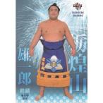 17BBM大相撲カード 魂 #31 栃煌山雄一郎