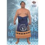 17BBM大相撲カード 魂 #38 妙義龍泰成