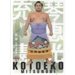 19BBM 大相撲カード 風 レギュラーカード #39 琴恵光 充憲