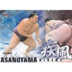 19BBM 大相撲カード 風  疾風 #66 朝乃山 英樹