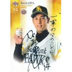 14BBM ルーキーエディション 加治屋
