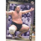 20BBM 大相撲カード #07 栃ノ心 剛史 関脇