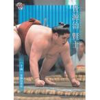 21BBM 大相撲カード #65 貴源治 賢士 十両