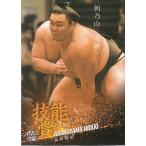ショッピング大相撲 21BBM 大相撲カード 匠 #45 朝乃山 英樹 〈技能賞〉