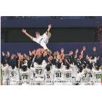 22カルビープロ野球チップス第1弾 C-