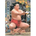 22BBM 大相撲カード #17 豊昇龍 智勝