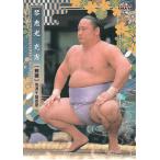 ショッピング大相撲 22BBM 大相撲カード #22 琴恵光 充憲