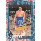 22BBM 大相撲カード #73 豊昇龍