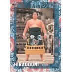 22BBM 大相撲カード #76 平戸海 雄貴 期待の若手