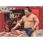 22BBM 大相撲カード 華 #65 若