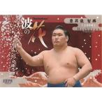 22BBM 大相撲カード 華 #68 豊