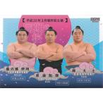 22BBM 大相撲カード 華 #79 隆の勝伸明 照強翔輝 輝大士 同期の桜