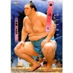 26BBM 大相撲カード キラパラレル #28 獅司 大 前頭 レギュラーカード