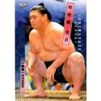 26BBM 大相撲カード キラパラレル #35 時疾風 秀喜 前頭 レギュラーカード