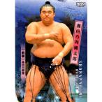 26BBM 大相撲カード キラパラレル #37 湘南乃海 桃太郎 前頭 レギュラーカード