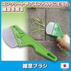 雑草ブラシ　雑草抜き 草取り 掃除 スキ間 庭 コンクリート 駐車場 メール便送料無料