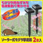 ソーラー式 モグラ撃退器 2本入 SV-5141　モグラ対策 地ねずみ 音波振動 農作物被害 畑 家庭菜園