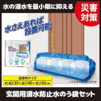玄関用 浸水防止 水のう袋セット 水嚢袋 逆流防止 浸水対策 台風 水害 大雨 断水 防水 防災グッズ 玄関扉 シャッター ガレージ 排水口 送料無料