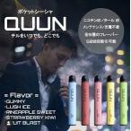 （ 正規店 ) QUUN 持ち運び ポケット シーシャ 電子タバコ 500回 禁煙グッズ 使い捨て ベイプ Vape