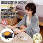 電気毛布 掛け敷き ひざ掛け USB給電 ニトリ 日本製ヒーター 8発熱ヒーター 掛け着る両用 電気ブランケット150×80cm ブランケット オフィス 3段階温度調節