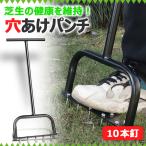  газонная трава сырой сверление аэрация 10шт.@ гвоздь заем шиповки заем дырокол газонная трава сырой шиповки газонная трава шиповки сад шиповки сверление корень порез . двор садоводство s