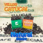 Yellow Catucai - Natural スペシャルティコーヒー豆 200g ブラジル - グアリロバ農園